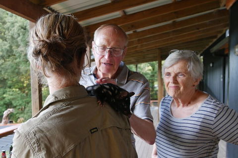 Sunset Experience - Southport Accommodation 1