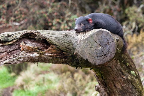 Day Keeper Tour - Southport Accommodation 0