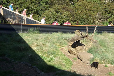 Day Keeper Tour - Southport Accommodation 2
