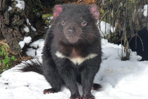 Day Keeper Tour - Southport Accommodation 4