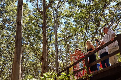 The All About Margaret River Tour: Wine, Coffee, Lunch And Forest - Accommodation Southport 3