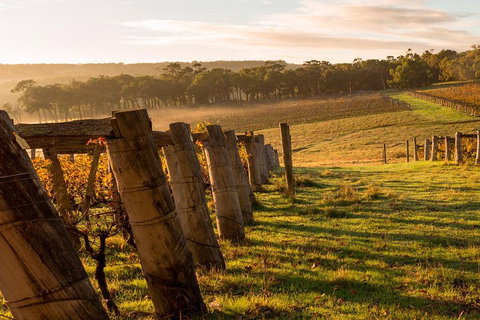 The All About Margaret River Tour: Wine, Coffee, Lunch And Forest - Accommodation Southport 5