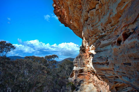 Unforgettable Blue Mountains Day Tour - Southport Accommodation 2