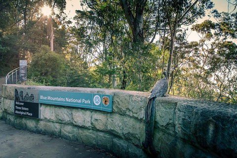 Ultimate Blue Mountains Waterfalls, Walks & Sunset PRIVATE Tour - Accommodation Southport 3