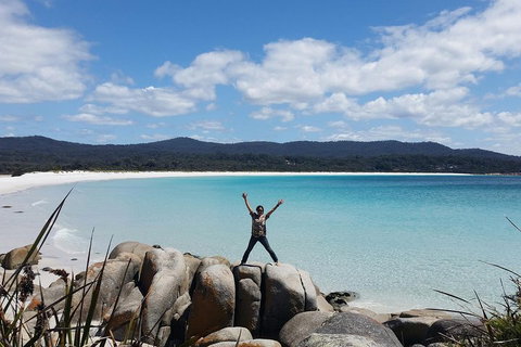 Tasmania 4 Day East Coast + Launceston - Accommodation Southport 1