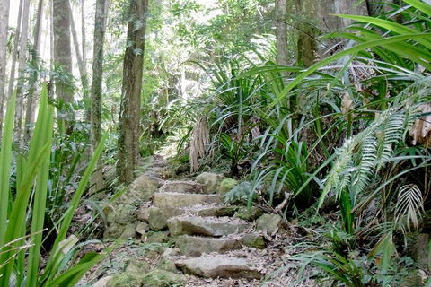 Byron Bay Combo: Minyon Falls And Hinterland Day Trip And Learn To Surf At Byron Bay - Southport Accommodation 3