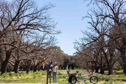 Adelaide 90-Minute Pedicab Tour: Scenic Green & River Experience - Southport Accommodation 1
