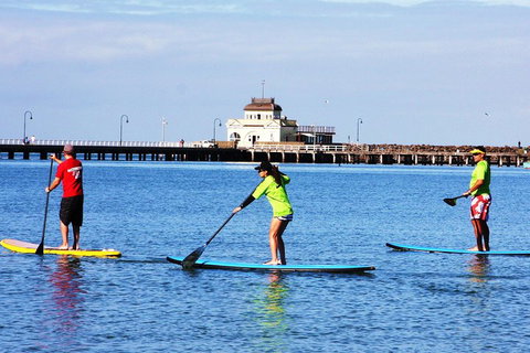 Private Stand-Up Paddle Board Lesson At St Kilda - Accommodation Southport 1