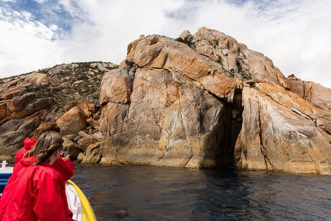 Wilsons Promontory Wilderness Cruise From Tidal River - Accommodation Southport 3