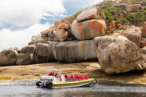 Wilsons Promontory Wilderness Cruise From Tidal River - Accommodation Southport 4
