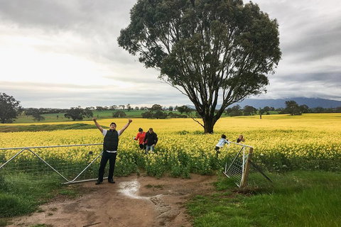 Grampians - Private Tour - Accommodation Southport 2