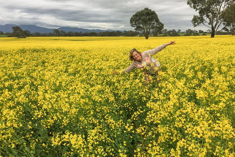 Grampians - Private Tour - Accommodation Southport 3
