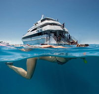 3 Day Great Barrier Reef Daintree Rainforest and Outback Chillagoe Tour - Southport Accommodation