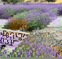 Kangaroo Island Food and Wine Trail Tour - Accommodation Southport