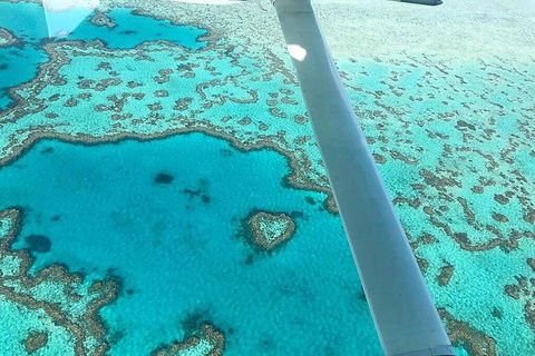 Whitsunday Islands 1-Hour Reef Scenic Helicopter Tour - Southport Accommodation 3