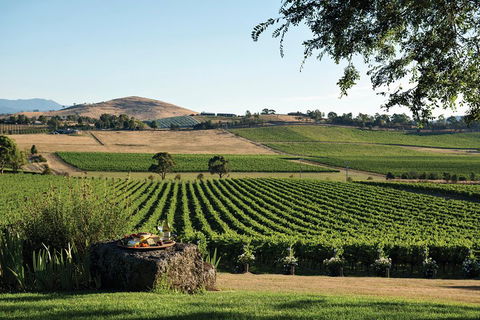 Small Group 6 Guests: Ultimate Yarra Valley Food And Wine - Mercedes Van - Southport Accommodation 4