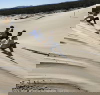 Port Stephens Bush Beach and Sand Dune 4WD Tag-Along Tour - Accommodation Southport