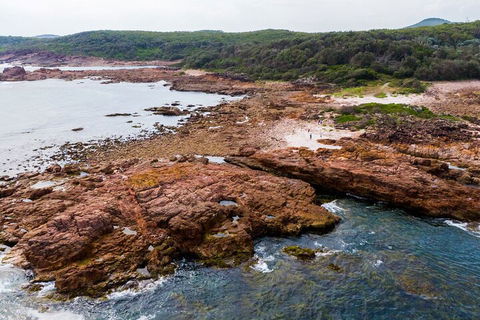 Port Stephens Bush, Beach And Sand Dune 4WD Tag-Along Tour - Southport Accommodation 4