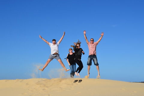 Port Stephens Bush, Beach And Sand Dune 4WD Passenger Tour - Southport Accommodation 3