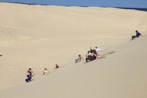 Port Stephens Bush, Beach And Sand Dune 4WD Passenger Tour - Southport Accommodation 4