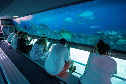 Great Barrier Reef Day Cruise To Reefworld - Southport Accommodation 0