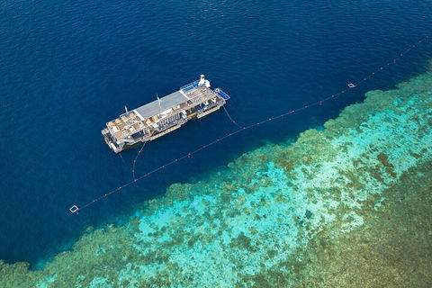 Great Barrier Reef Day Cruise To Reefworld - Southport Accommodation 2