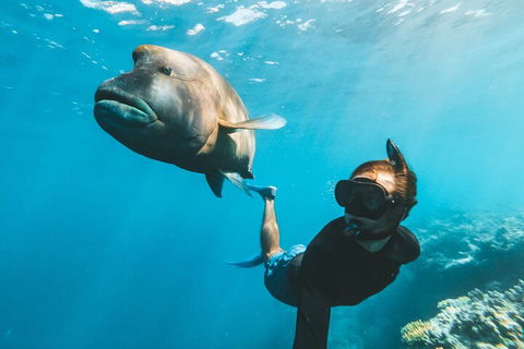Great Barrier Reef Day Cruise To Reefworld - Southport Accommodation 3