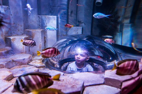 Melbourne BIG Ticket - LEGOLAND Discovery And SEA LIFE Melbourne - Southport Accommodation 5
