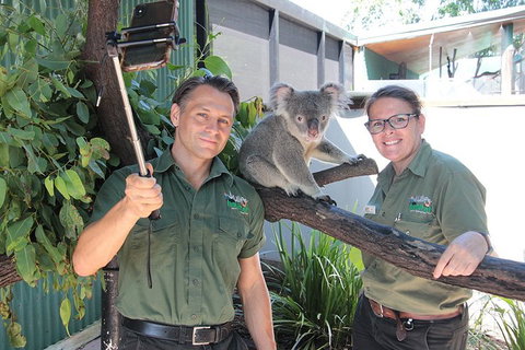 Virtual Interactive Australian Wildlife Tour With Private Guide-Wildlife Habitat - Accommodation Southport 0