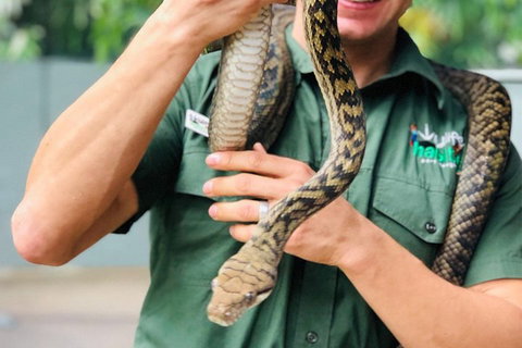 Virtual Interactive Australian Wildlife Tour With Private Guide-Wildlife Habitat - Accommodation Southport 1