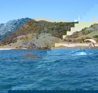 Kayaking with Dolphins in Byron Bay Guided Tour - Southport Accommodation