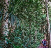 Atherton Tablelands Rain Forest by Night from Cairns - Southport Accommodation