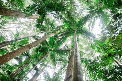 Fraser Explorer K'gari 2-Day Tour - Accommodation Southport 2