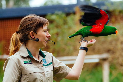 VIP Sanctuary Tour At Healesville Sanctuary Ticket - Southport Accommodation 0