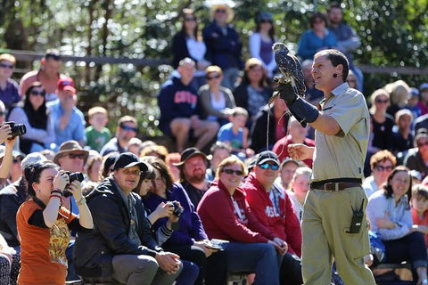 VIP Sanctuary Tour At Healesville Sanctuary Ticket - Southport Accommodation 4