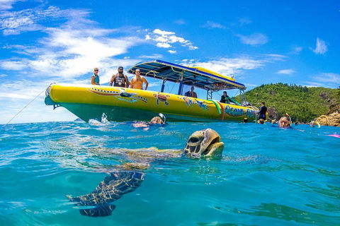 Great Barrier Reef Scenic Flight And Ocean Rafting Whitehaven Beach Day Trip - Southport Accommodation 1