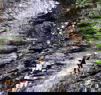 Full-Day Canyoning Experience at Stunning Empress Canyon - Southport Accommodation