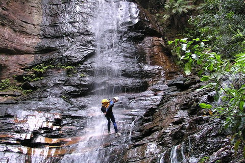 Full-Day Canyoning Experience At Stunning Empress Canyon - Accommodation Southport 0