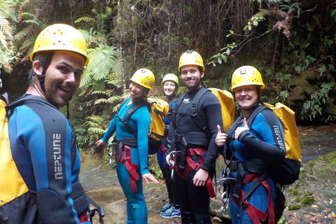 Full-Day Canyoning Experience At Stunning Empress Canyon - Accommodation Southport 1
