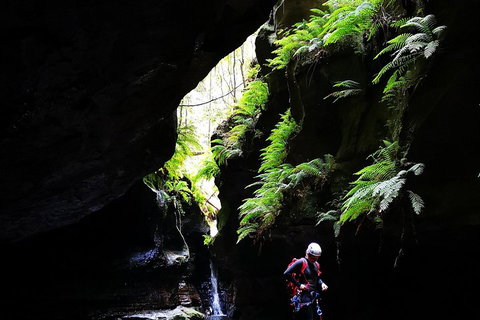 Full-Day Canyoning Experience At Stunning Empress Canyon - Accommodation Southport 2