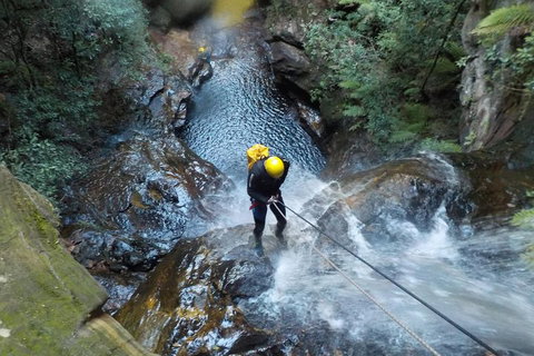 Full-Day Canyoning Experience At Stunning Empress Canyon - Accommodation Southport 4
