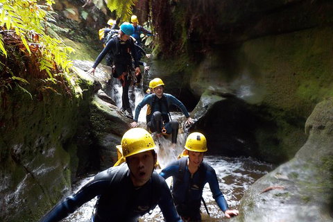 Full-Day Canyoning Experience At Stunning Empress Canyon - Accommodation Southport 5