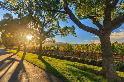 Very Best Of Perth Tour - Wildlife Park & City Highlights Tour - Southport Accommodation 2