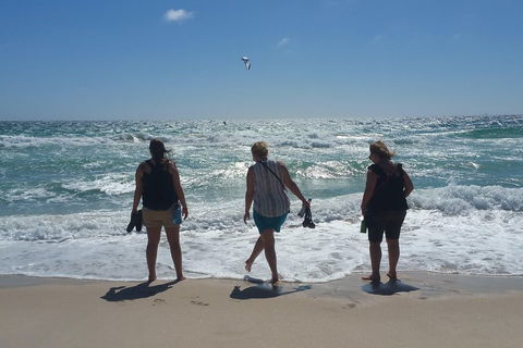 Very Best Of Perth Tour - Wildlife Park & City Highlights Tour - Southport Accommodation 5