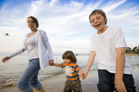 Phillip Island Penguin And Koala Highlights Day-Trip From Melbourne - Southport Accommodation 0