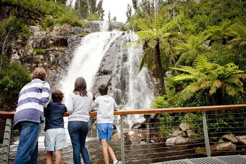 Lake Mountain Snow Trip Including Yarra Valley Chocolaterie From Melbourne - Southport Accommodation 0
