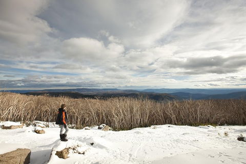 Lake Mountain Snow Trip Including Yarra Valley Chocolaterie From Melbourne - Southport Accommodation 5
