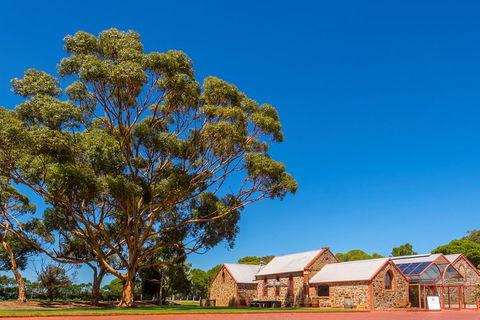 McLaren Vale And Glenelg Wine Tasting And Sightseeing (Half-day Afternoon) - Southport Accommodation 5