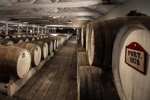 Seppeltsfield Centenary Tour - Accommodation Southport 5