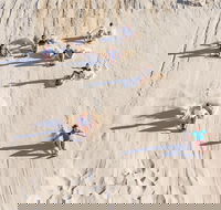 Unlimited Sandboarding - Accommodation Southport